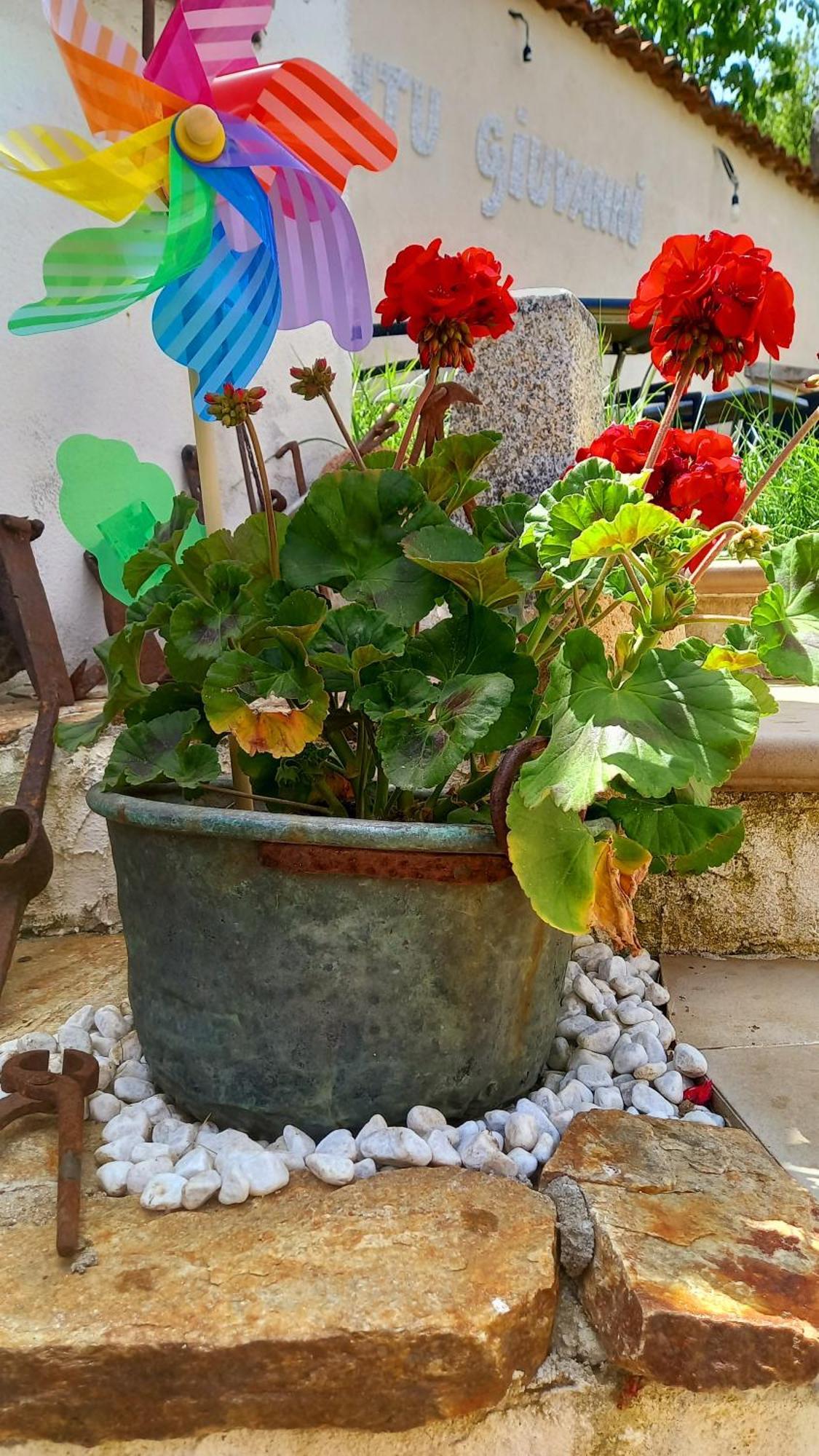 "B&B Santu Giuvanni" Fonni Buitenkant foto
